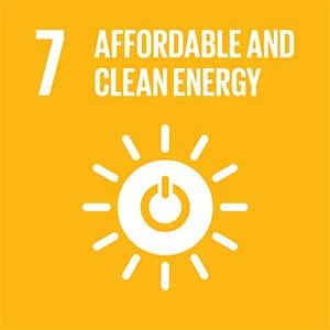 sustainability goal 7
